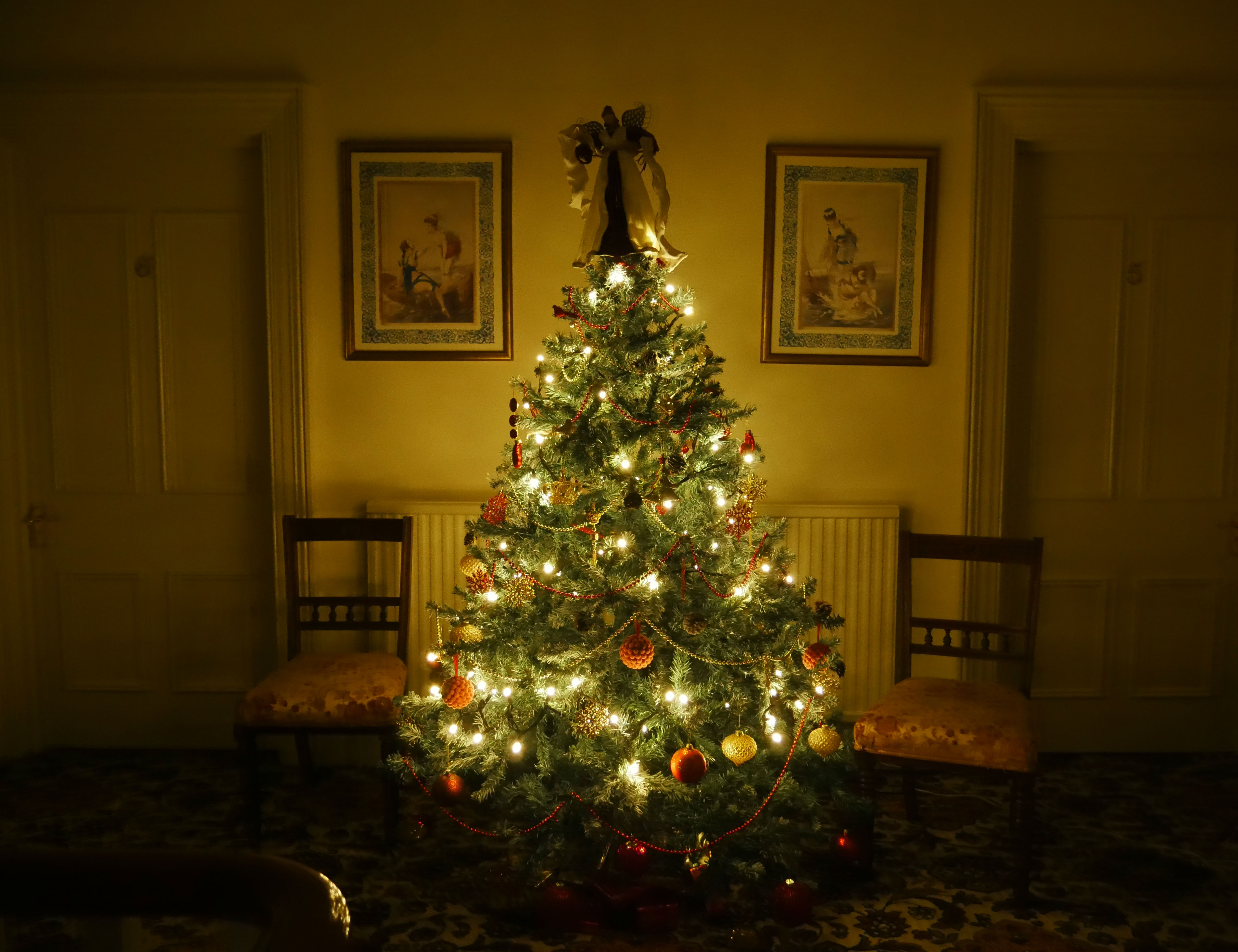 Christmas Breaks in Torquay